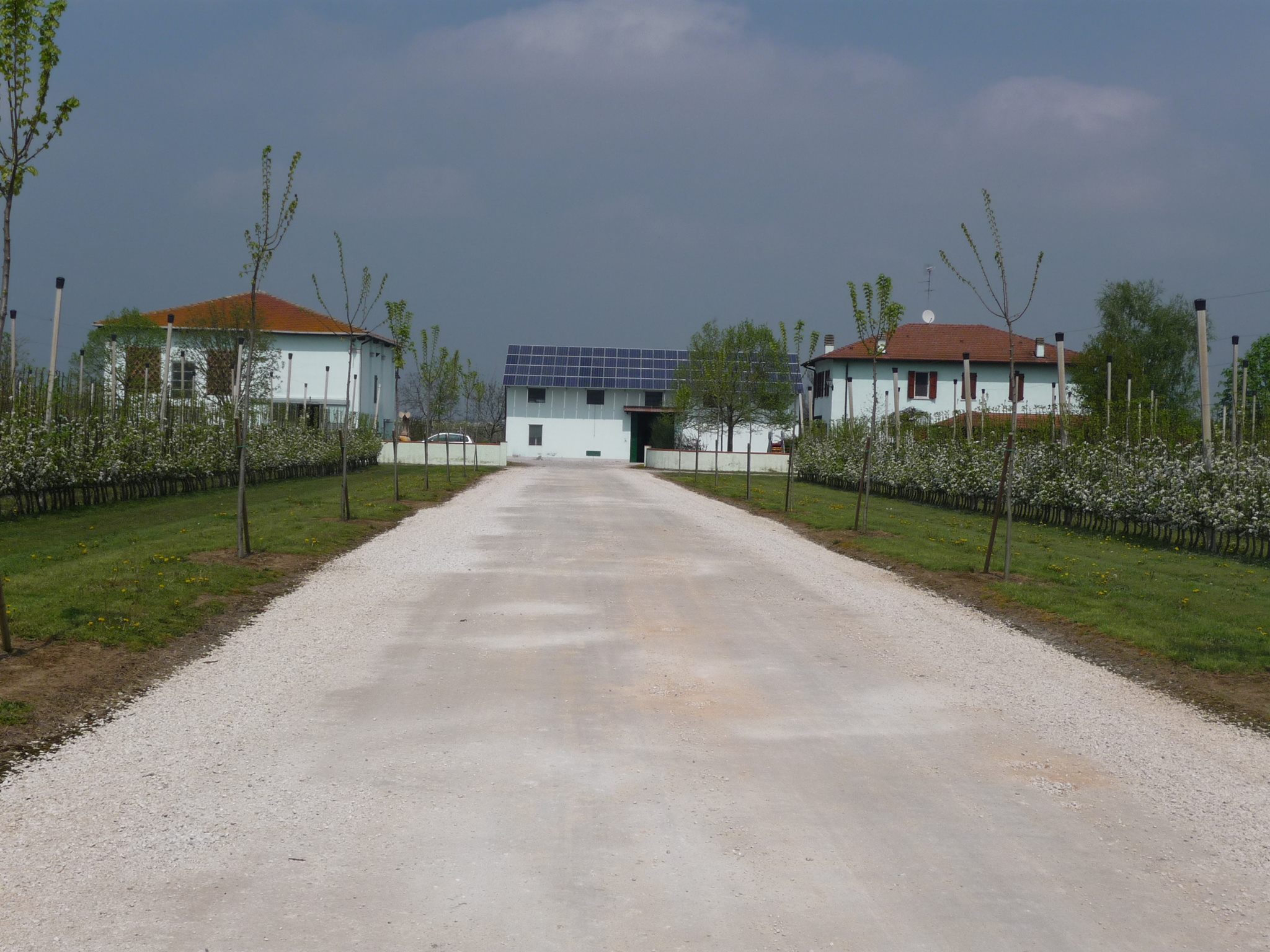 azienda agricola